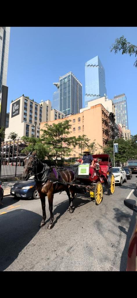 Al Shami 408 Nova York